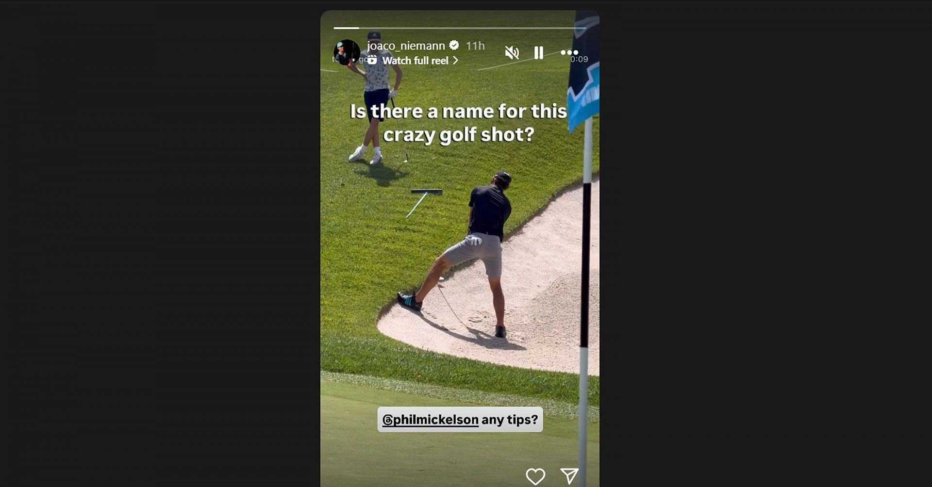 Credits: Instagram/@joaco_niemann